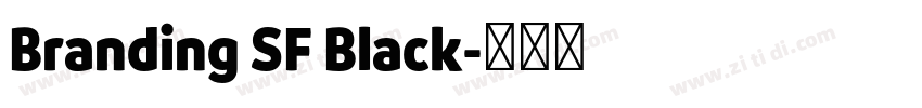 Branding SF Black字体转换